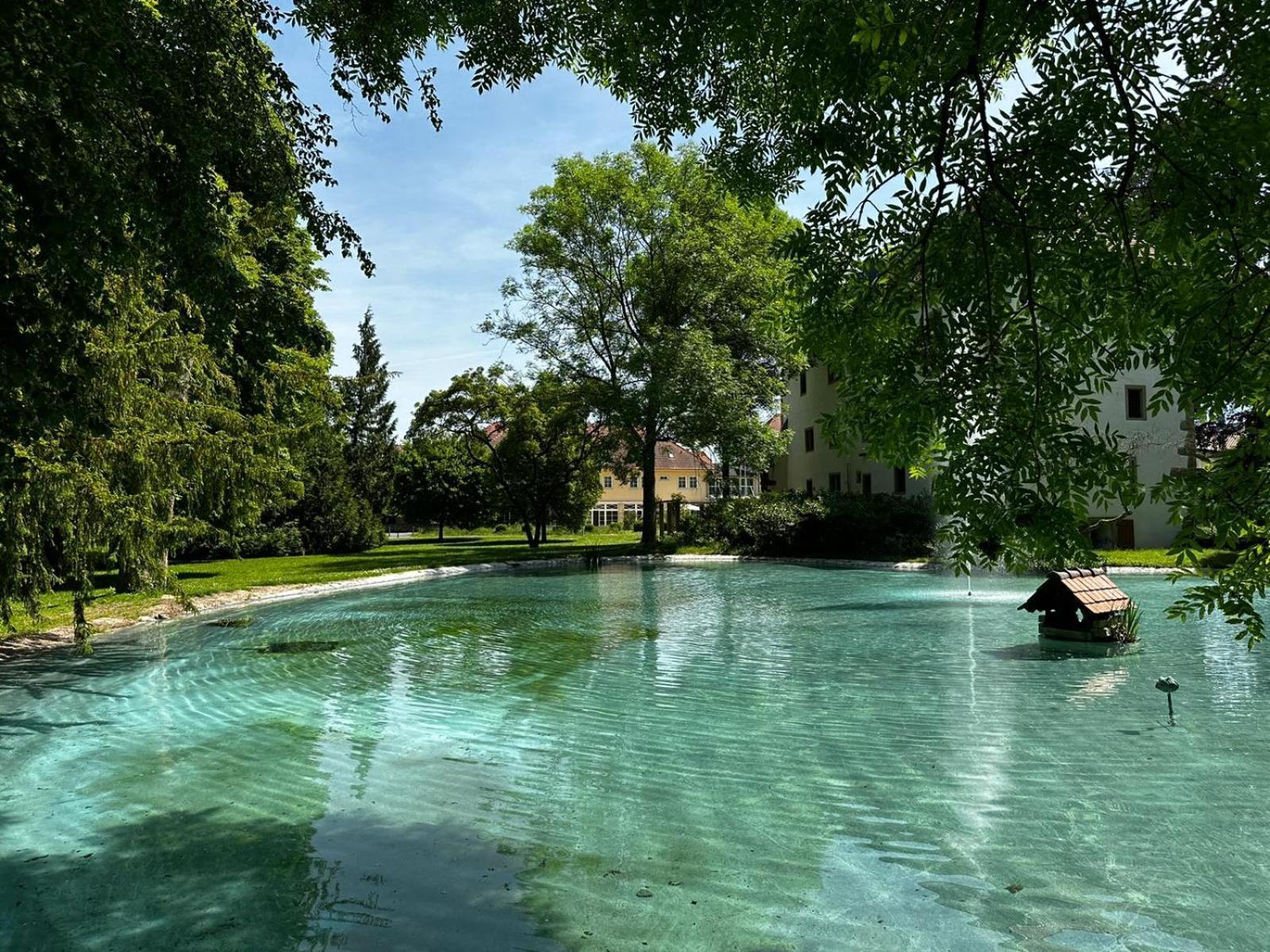 Schloss Neckarbischofsheim Zewnętrze zdjęcie